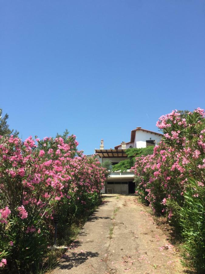 Seaside Vila Platanitis 外观 照片